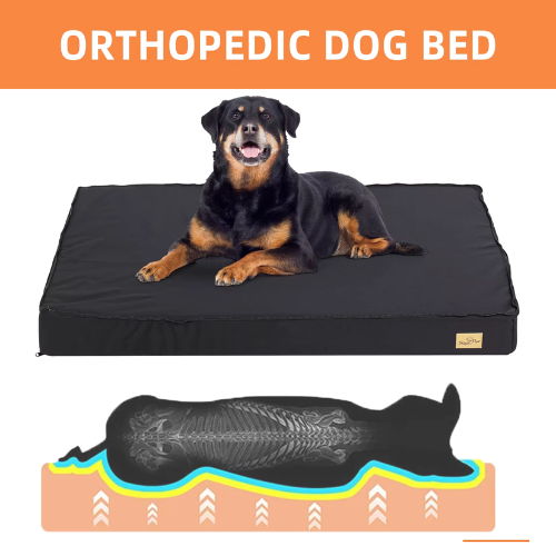 Bingopaw Orthopedic Dog Bed