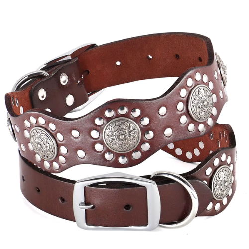 Regal Crest Collar