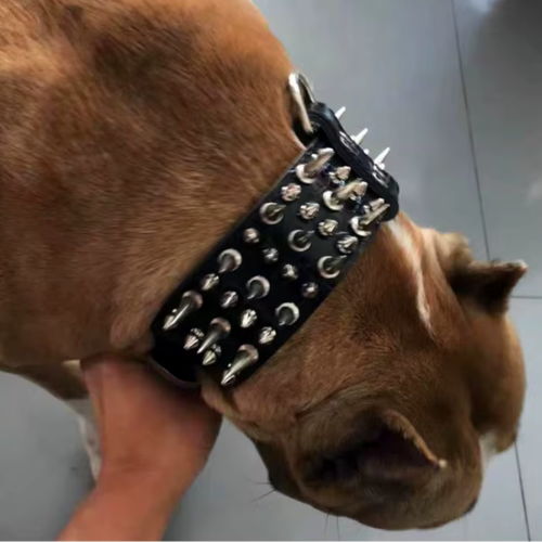 Alpha Spike Collar
