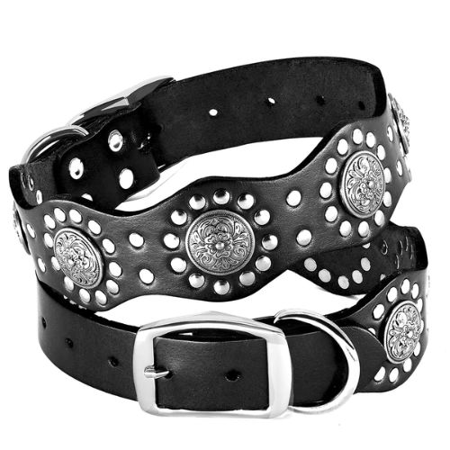 Regal Crest Collar