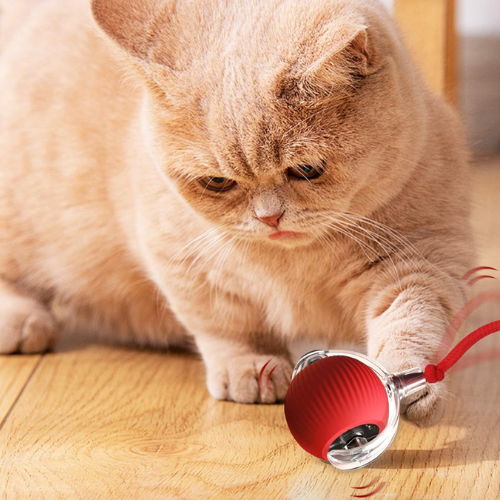 Pet Toy Ball - Automatic Toy Ball for Cats and Dogs