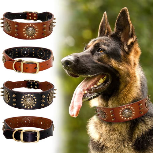 Dog Accessories