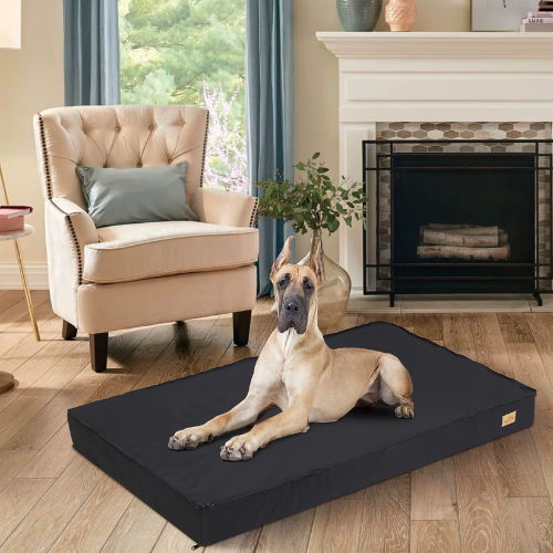 Bingopaw Orthopedic Dog Bed