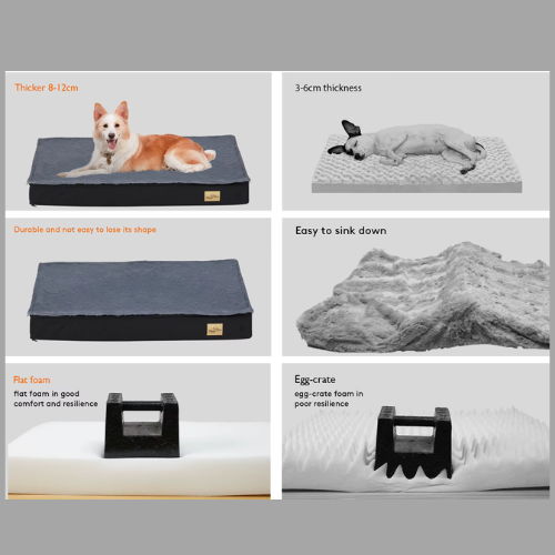 Bingopaw Orthopedic Dog Bed