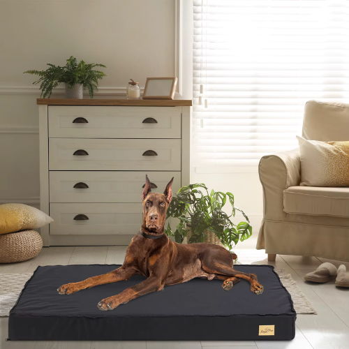 Bingopaw Orthopedic Dog Bed