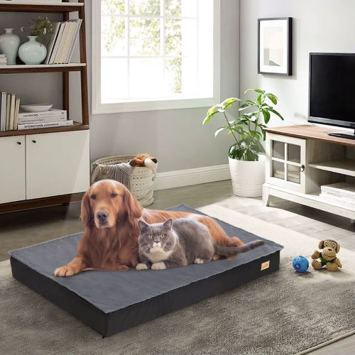Bingopaw Orthopedic Dog Bed