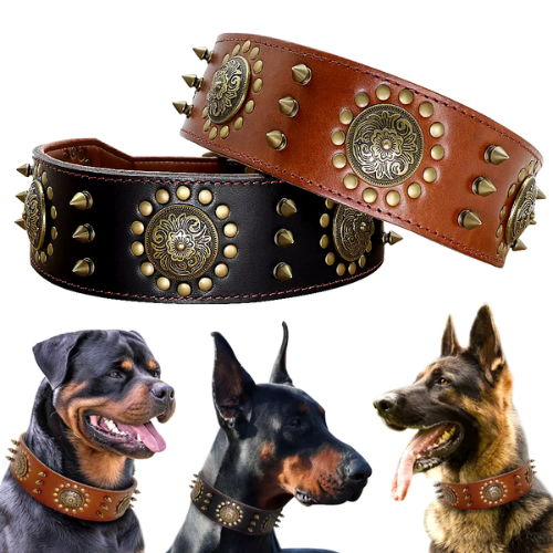 Iron Bark Collar