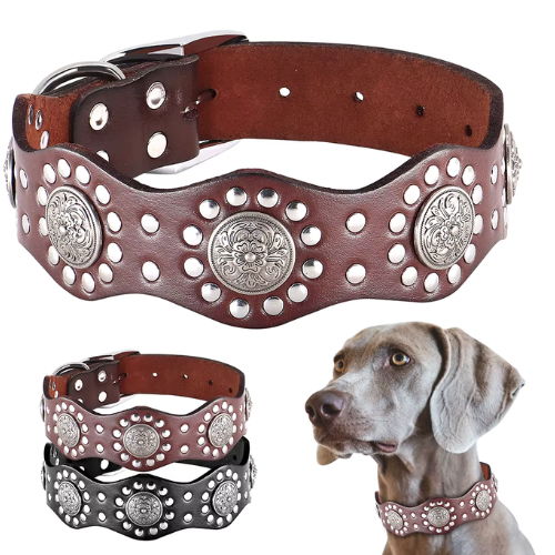 Regal Crest Collar